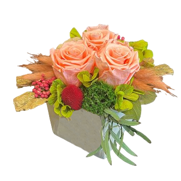 Gestabiliseerde  bloemen