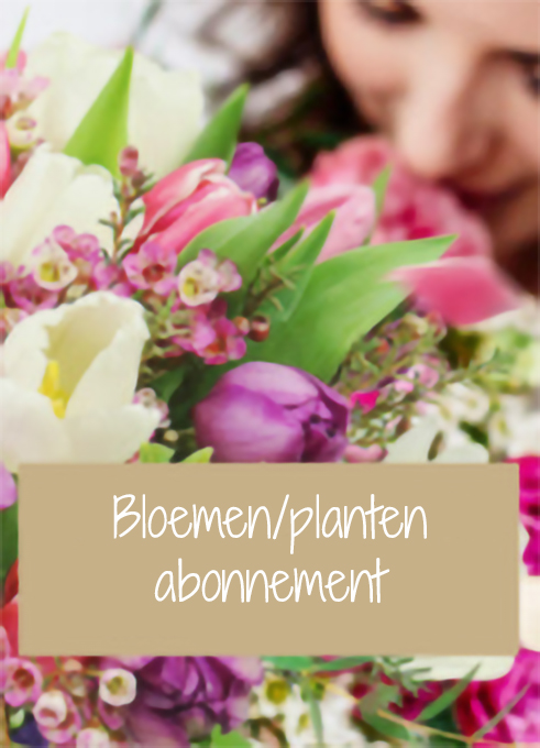Bloemen/planten abbonnement